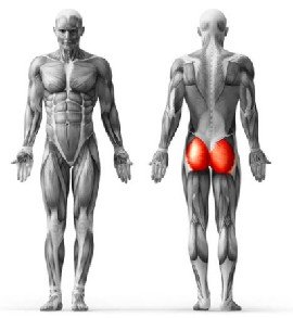 Veja as <b>Especificações</b>