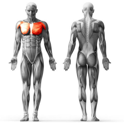 Veja as <b>Especificações</b>