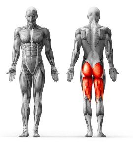 Veja as <b>Especificações</b>