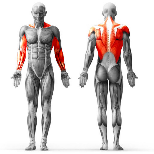 Veja as <b>Especificações</b>