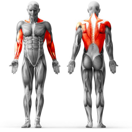 Veja as <b>Especificações</b>