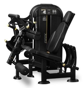 Leg Extension/Curl Machine (Máquina Extensora/Flexora Conjugada) 