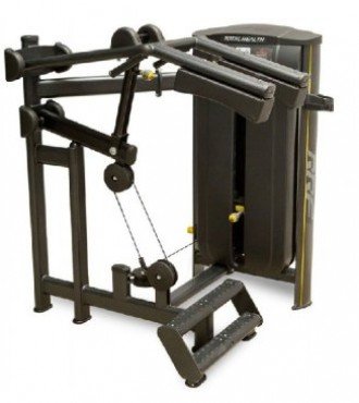 Calf Raise Machine (Máquina de Panturrilha Vertical) 