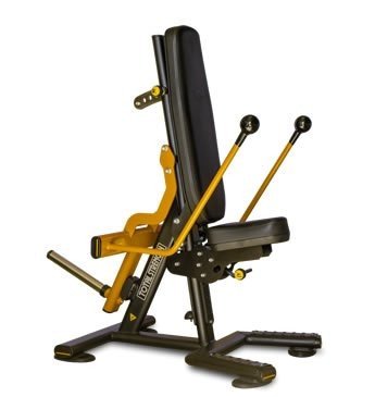 Triceps Dip